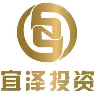 成都宜澤投資咨詢 專業(yè)服務(wù)，助力明智決策